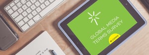 ID Comms Global media terms survey