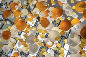 art-balloons-birthday-226737 (1)-1