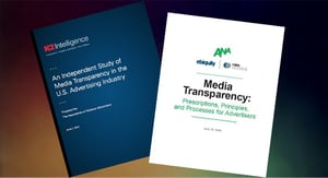 transparency_guidelines.jpg